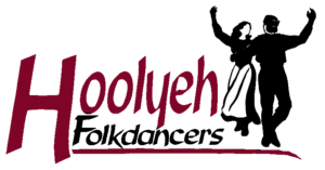 Hoolyeh logo