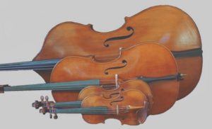 5501 Trophy Violin Strings 